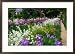 Monet's Flower Garden, Giverny, Haute-Normandy, France Framed Photographic Poster Print by Diana Mayfield, 29x21
