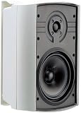 Jobsite Fg01089 6.5-Inch Indoor/Outdoor Loudspeaker