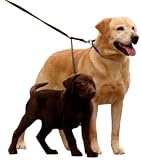 Sporn Double Dog Leash - Two Dog Leash Med- XL, black Sporn Double Dog Leash - Two Dog Leash Med- XL, black