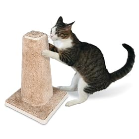 Petmate 26351 Cat Toys Best Price