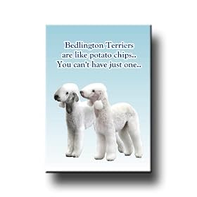 Bedlington Terrier Can't Have Just One Fridge Magnet