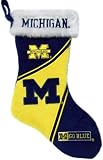 Michigan Wolverines Colorblock Stocking