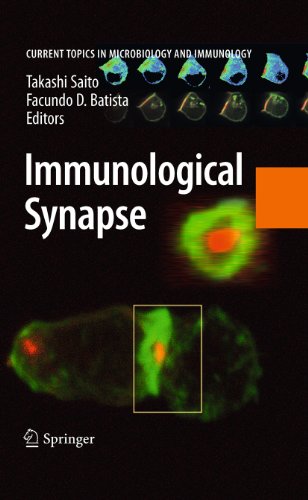 Immunological Synapse: 340 (Current Topics in Microbiology and Immunology)