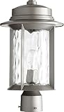 Quorum Lighting 7248-9-3, Charter Outdoor Post Lighting, 75 Total Watts, Graphite by Quorum Lighting