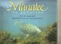 Manatee (On Location)