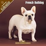 French Bulldogs 2008 Calendar - Dog Breed 2008 Calendars