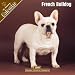   - French Bulldogs 2008 Calendar - Dog Breed 2008 Calendars