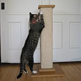  : Ultimate Scratch Post