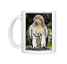Photo Mugs of Red-tailed Hawk from ClownFish Photo