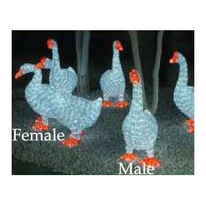 Giant Commercial Acrylic LED Female Goose Christmas Display - 432 LED Lights