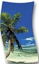 Beach Towel Palm Tree