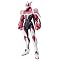 TIGER&BUNNY �t�B�M���A