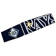 MLB Tampa Bay Devil Rays FanBand Headband