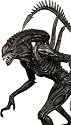 AVP: Requiem Alien Warrior Action Figure - Neca