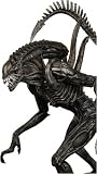 ALIEN VS PREDATOR REQUIEM - SERIES 1 7" Alien Warrior FIGURE