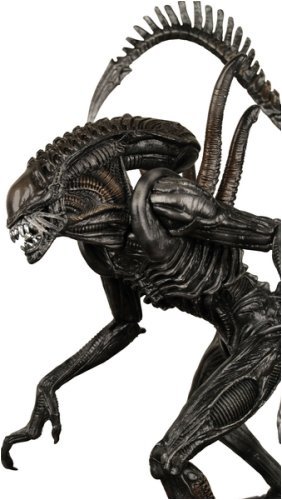 Childrens Toyshop  Electronics : ALIEN VS PREDATOR REQUIEM - SERIES 1 7" Alien Warrior FIGURE