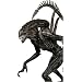 ALIEN VS PREDATOR REQUIEM - SERIES 1 7" Alien Warrior FIGURE