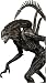 Electronics : ALIEN VS PREDATOR REQUIEM - SERIES 1 7