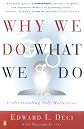 Why We Do What We Do: The Dynamics of Personal Autonomy
