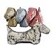 Pet Supplies : Toile Eco Friendly "Dog" Toy: Dachshund (Blue)