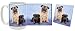 Pug with pup Mug & Coaster Gift Box Combo - Dog/Puppy/Canine Edition Beverage Drinkware