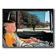 Auto Expressions 40708 Sun Protection Glare Reduction Shade