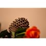 Canon EF Objectif 50 mm f/1.8 II de Canon