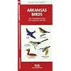 Arkansas Birds: An Introduction to Familiar Species (State Nature Guides)