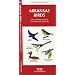 Arkansas Birds: An Introduction to Familiar Species (State Nature Guides)