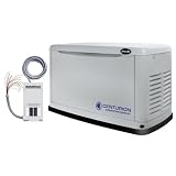 Centurion589516,000WattLiquidPropane/NaturalGasAir-CooledStandbyGeneratorWithTransferSwitch