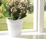 41Zlc3g7a3L. SL160  LED Colour Change Flower Pot Reviews