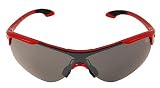 The North Face Adrenaline Oval Sunglasses Red 1950 0024