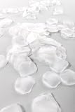 300 White Silk Rose Petals From WeddingDirect TM
