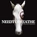 Something Beautiful by Needtobreathe