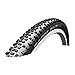 Schwalbe Racing Ralph Snake Skin Tubeless Ready Pace star Folding