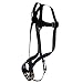 FallTech 7007 FT Basic Full Body Harness with 1 D-Ring and Mating Buckle Leg Straps, Universal Fit
