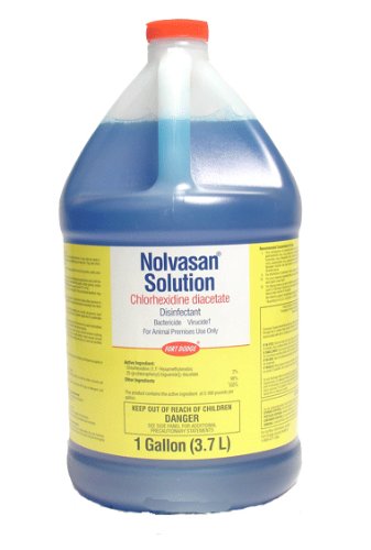Nolvasan Solution - Gallon