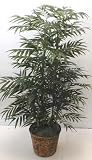 Review Silk Plants Plus  / 5' DOUBLE Phoenix Palm