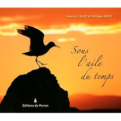 Sous l'aile du temps
