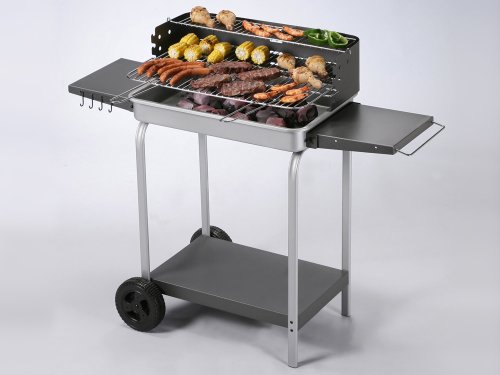 Techniloisirs - Barbecue charbon Timor - grille rectangle 54 x 38 cm