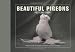 Beautiful Piegons Postcard Book