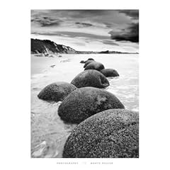 Otago Coast, New Zealand von Monte Nagler - Kunstdruck Qualit�t (Bildgr��e 51 cm W x 70 cm H)