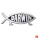 The Original Darwin Fish Emblem