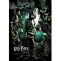 Harry Potter And The Prisoner Of Azkaban - Intl Movie Poster Sirius solo (Size: 27'' x 39'')