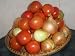 The Original Vegetarian Cookery Book