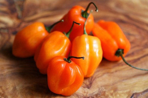 Habanero Pepper 4 Live Plants - Very, Very Hot! Habanero Pepper 4 Live Plants - Very, Very Hot!