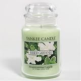 Yankee Sheer Gardenia 22oz Housewarmer Candle