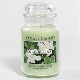 Yankee Sheer Gardenia 22oz Housewarmer Candle