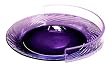 Plate Guard Clear Large