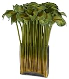 Uttermost Green Goddess Long Stem Bouquet Botanical